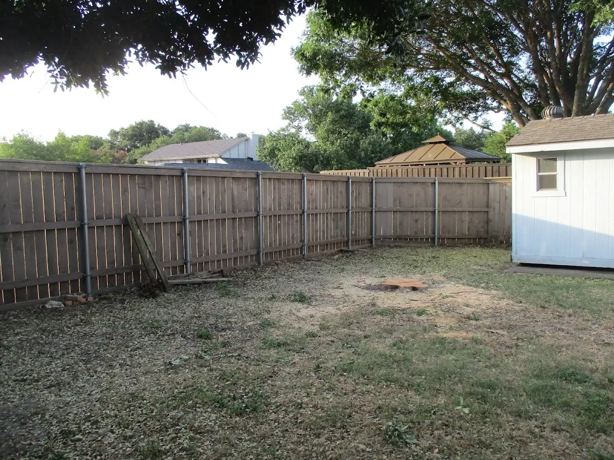 Cleared yard after professional tree removal in Malden Bridge